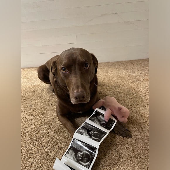 Pop up share shows! - Picture 5 of 15